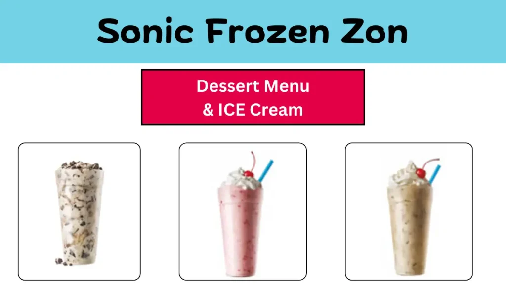 Sonic Frozen Zon 